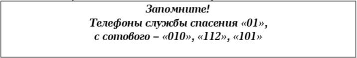 216354з65шщ4зжш564щж6ш54жлд.JPG